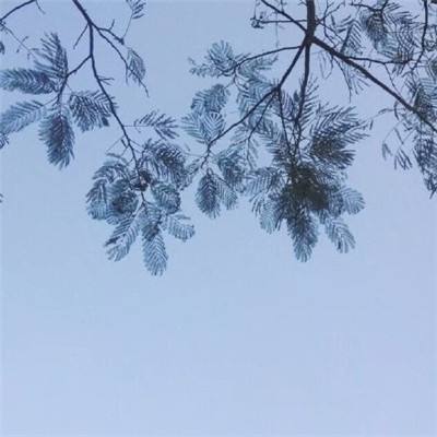 深海大作战内购破解版下载